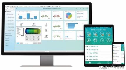 中科華智SAP B1 ERP 食品行業信息化解決方案
