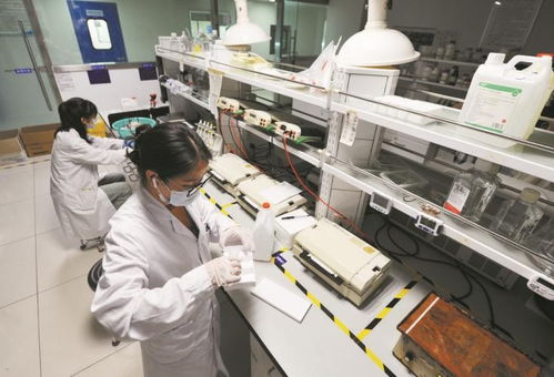 以嶺藥業(yè) 科技賦能，引領(lǐng)中藥現(xiàn)代化新篇章